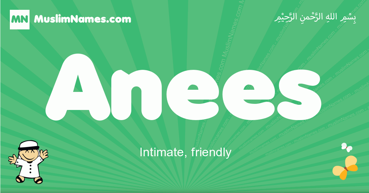 Anees Image