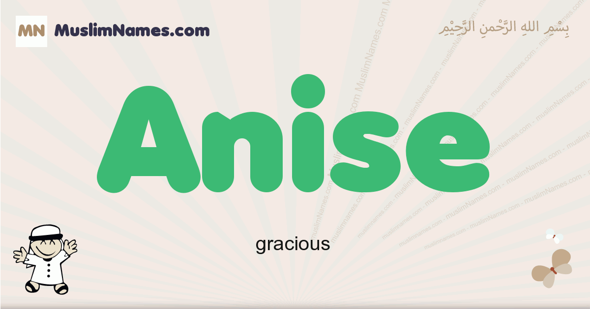 Anise muslim boys name and meaning, islamic boys name Anise