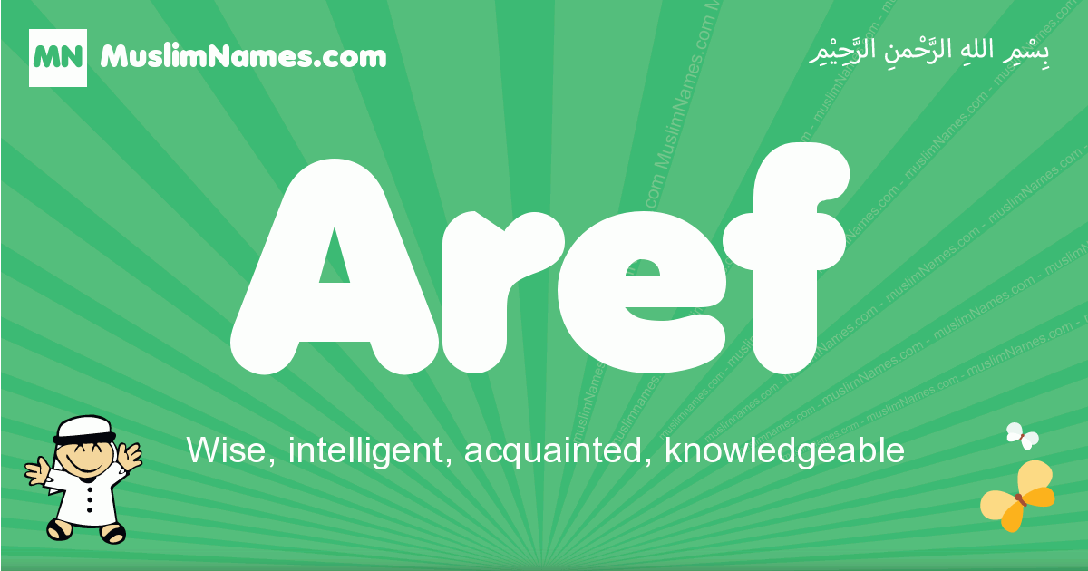 Aref Image