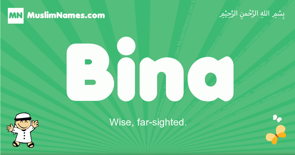 Bina Image