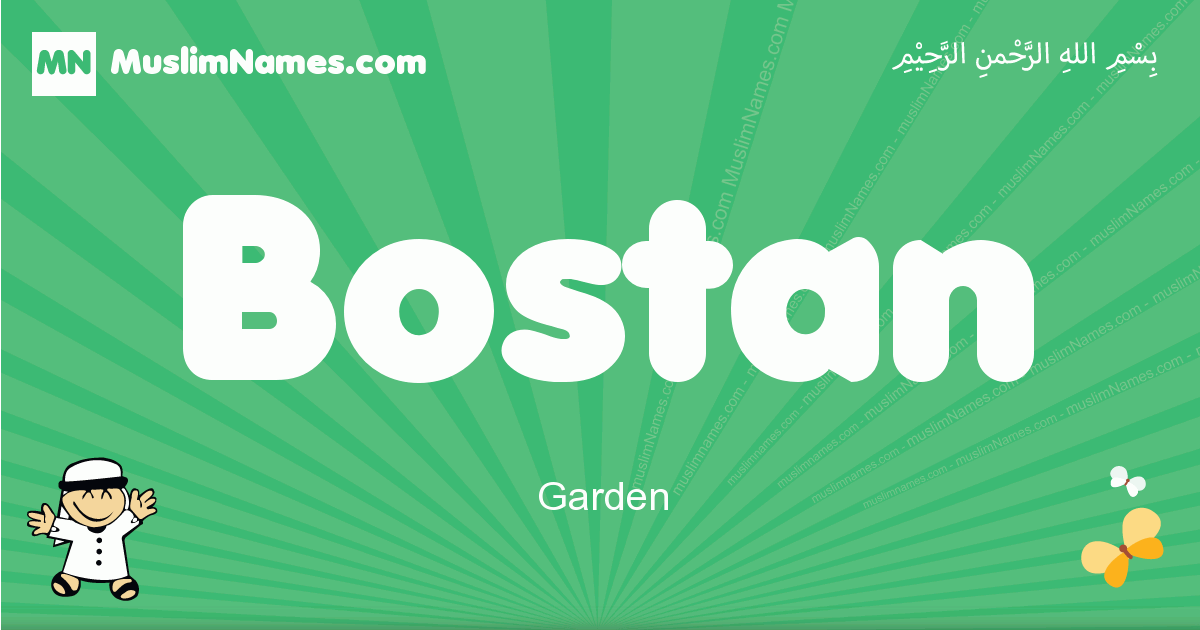 Bostan Image
