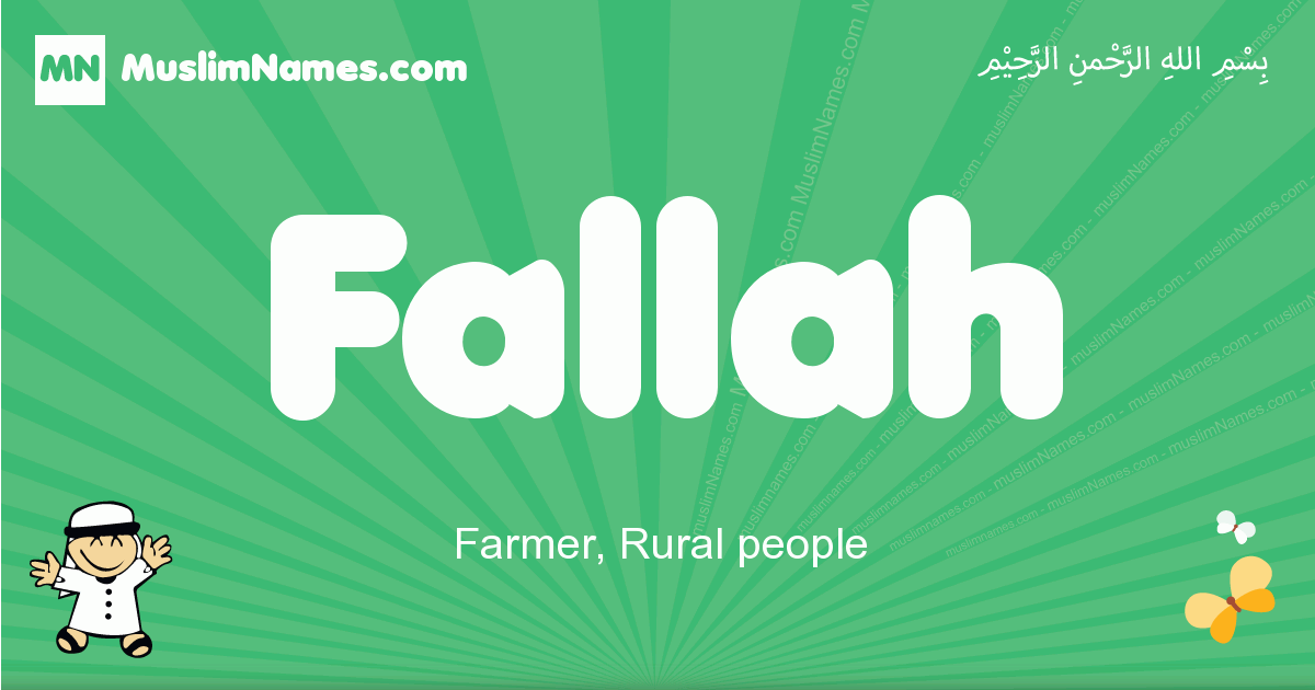 Fallah Image