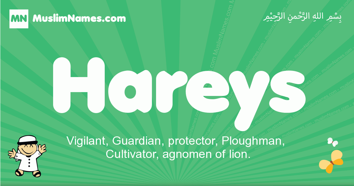 Hareys Image