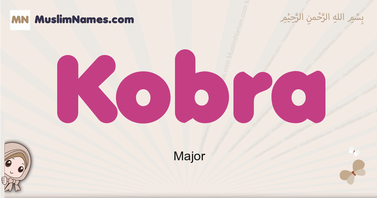 Kobra Image