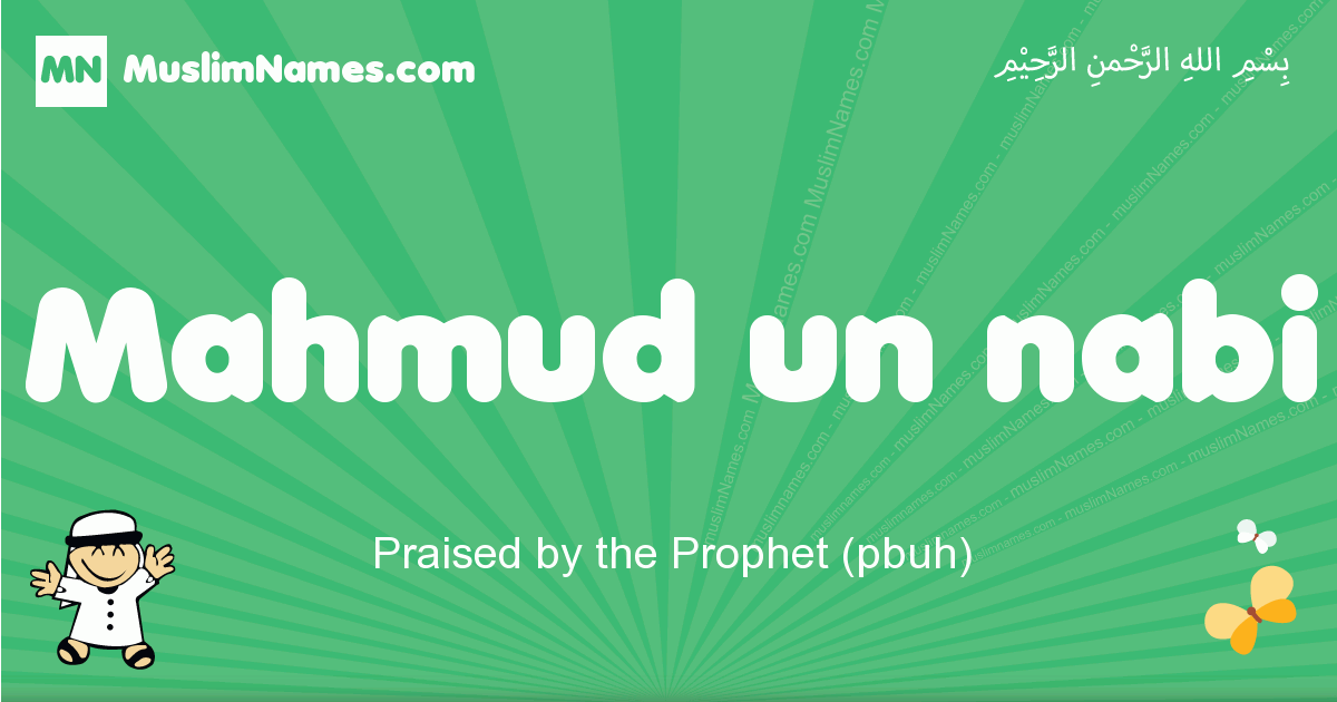 Mahmud-un-nabi Image