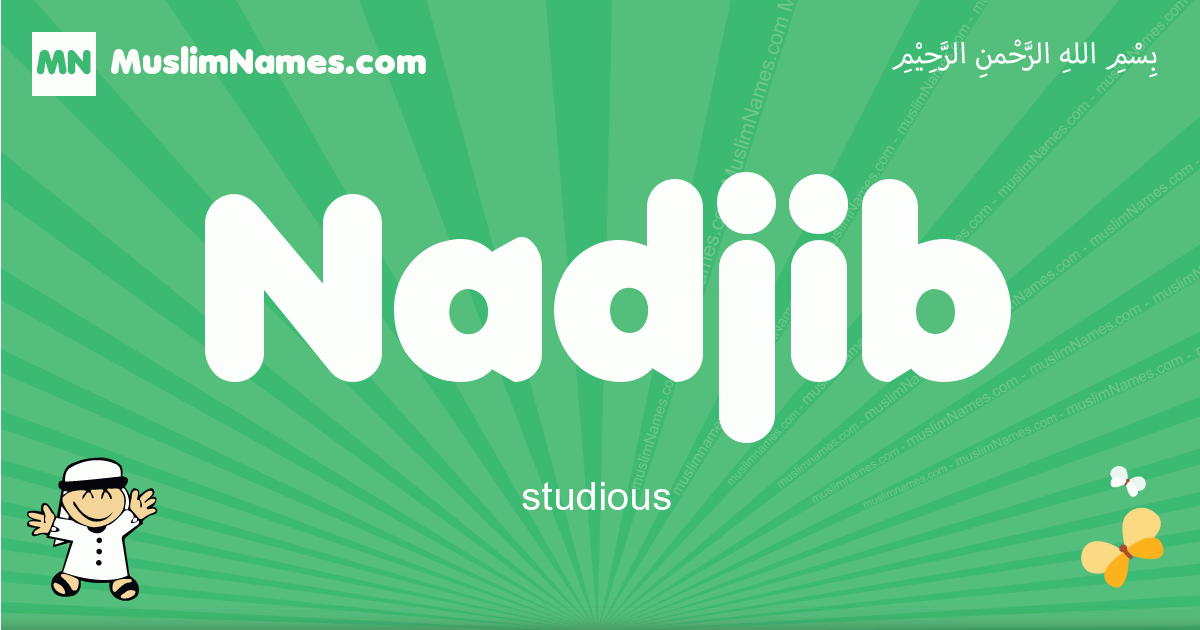 Nadjib Image