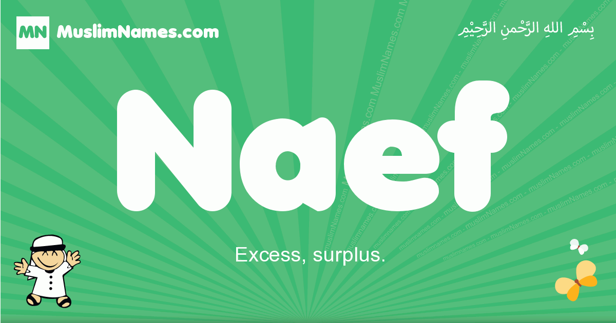 Naef Image