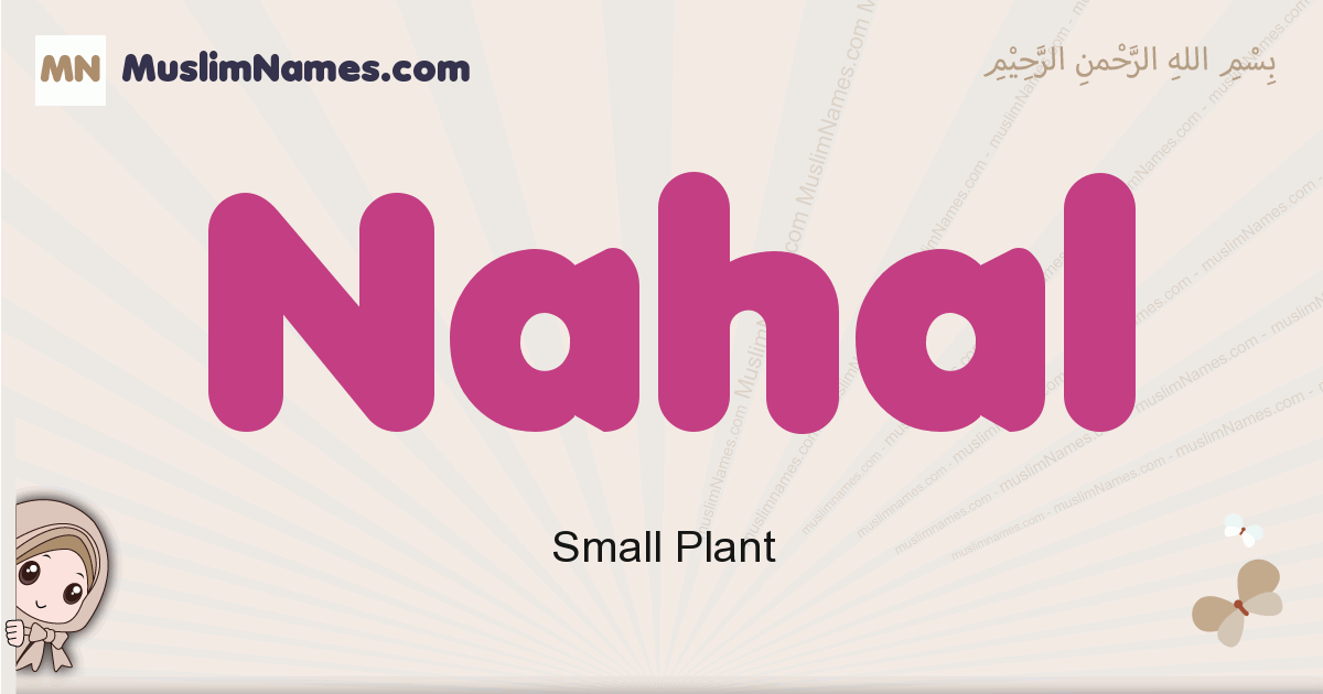 Nahal Image