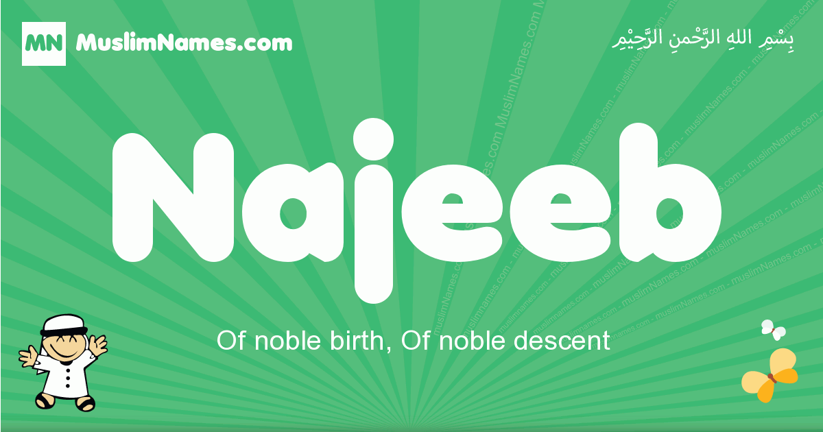 Najeeb Image
