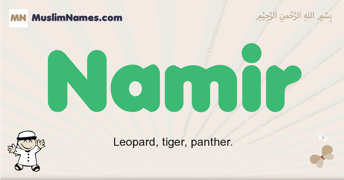 Namir Meaning Of The Muslim Baby Name Namir