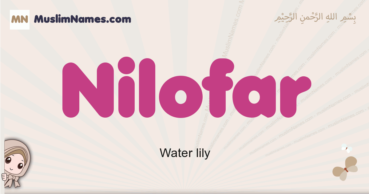 Nilofar Image
