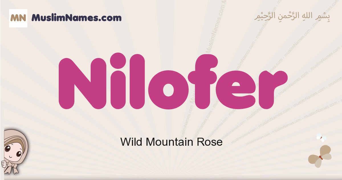 Nilofer Image