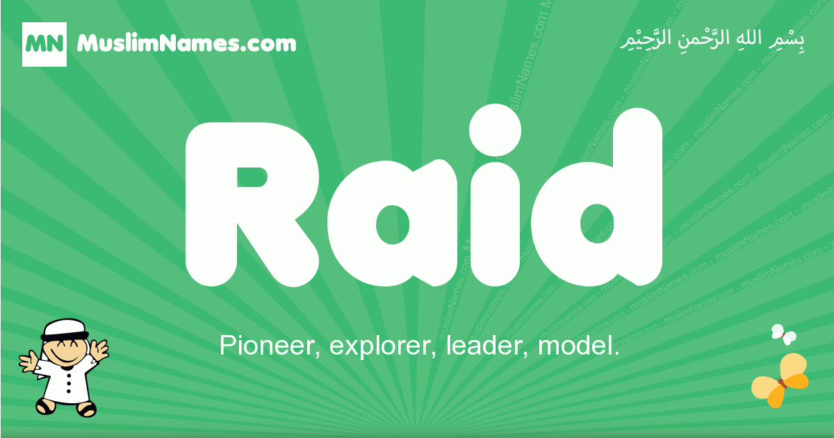 Raid Meaning 