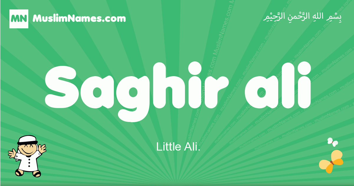 Saghir-ali Image