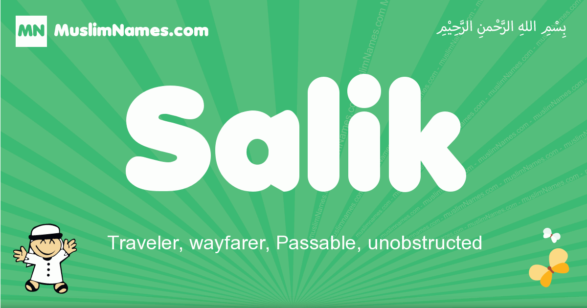 Salik Image