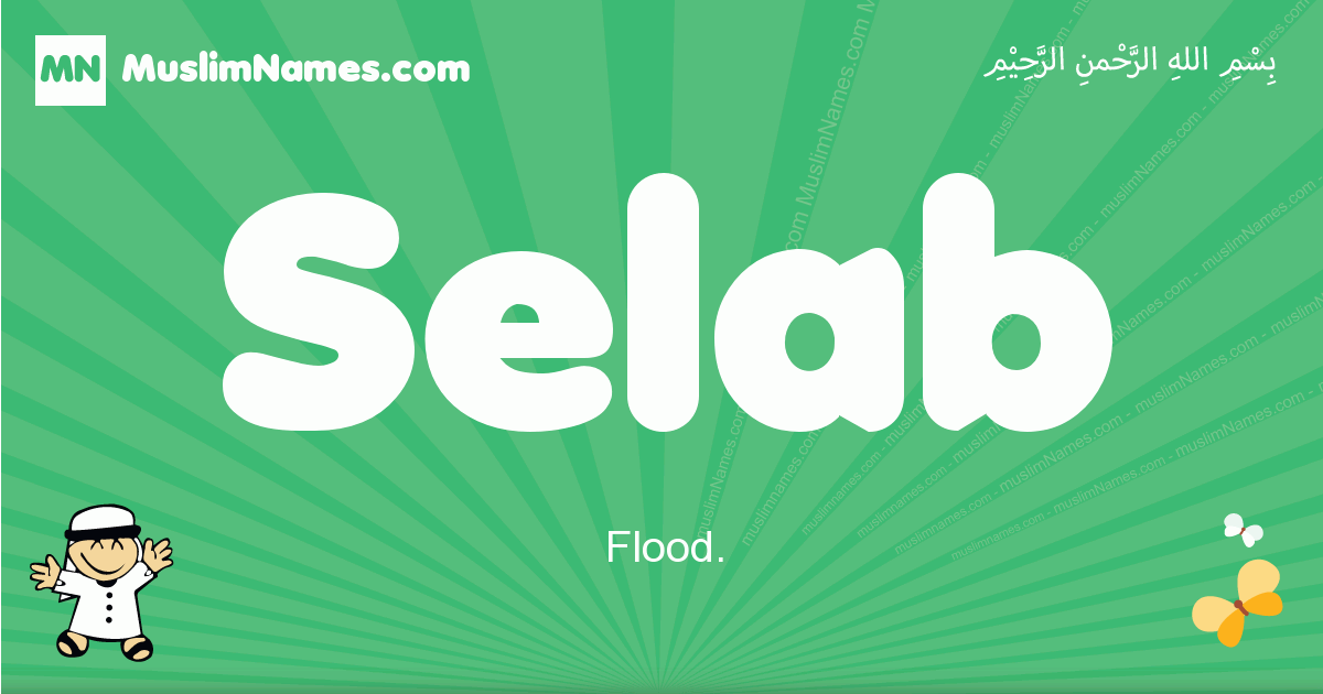 Selab Image