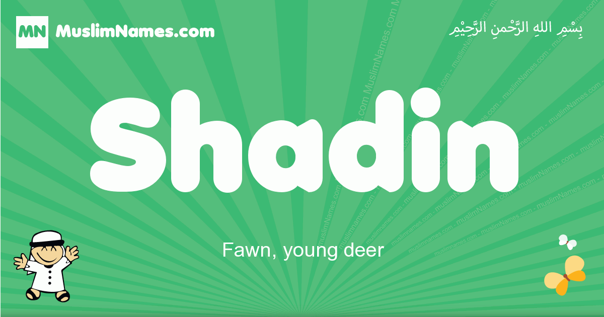 Shadin Image