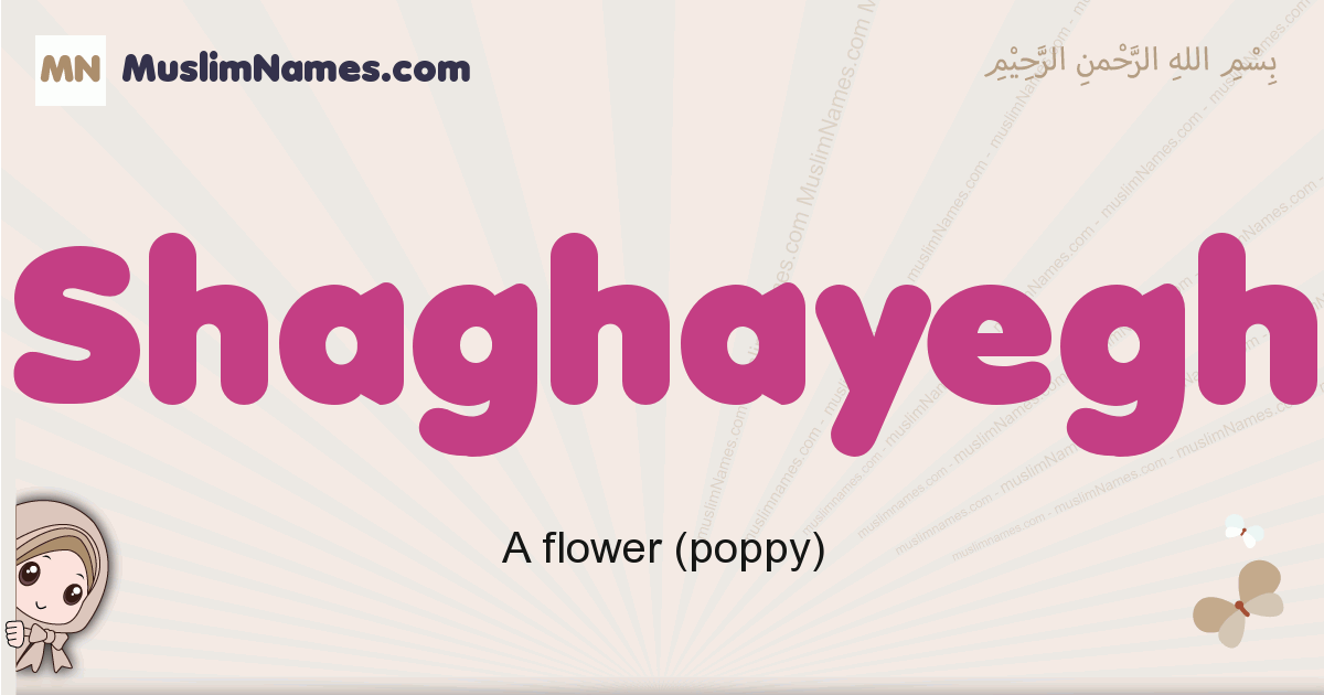 Shaghayegh Image