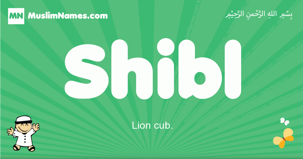 Shibl Image