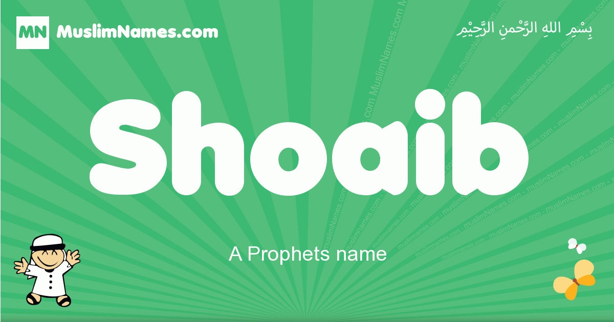 Shoaib Image