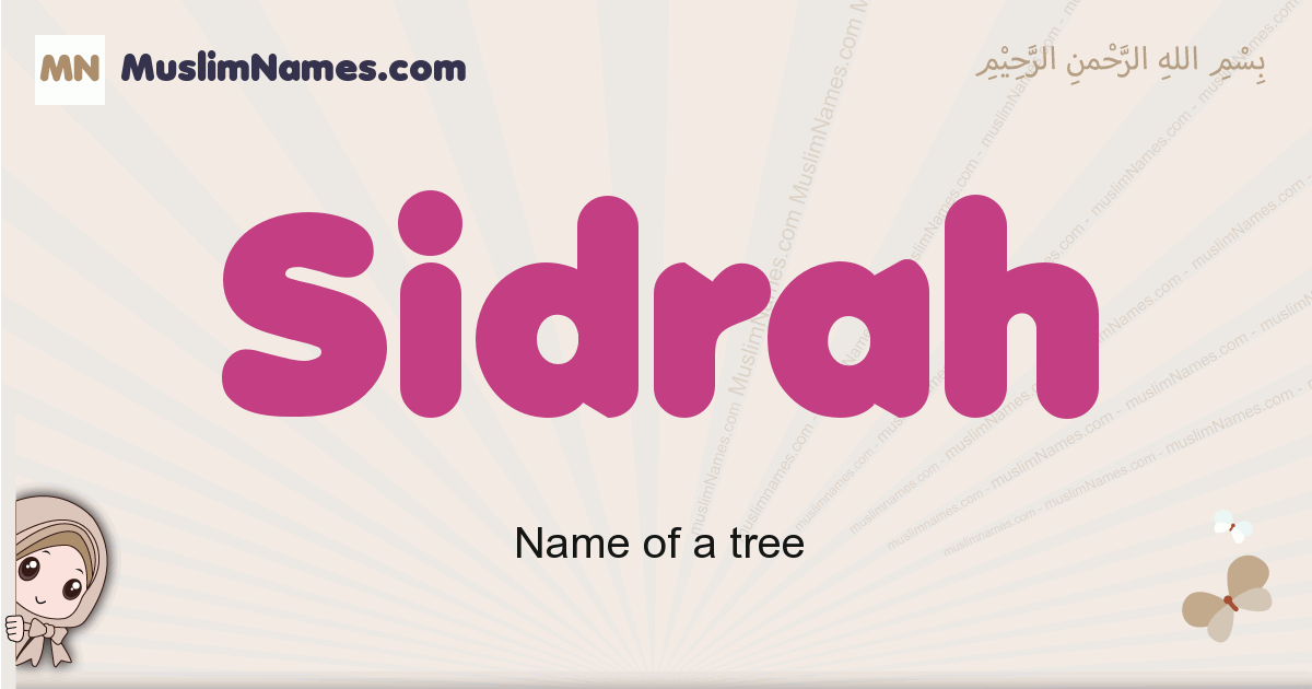 Sidrah Image