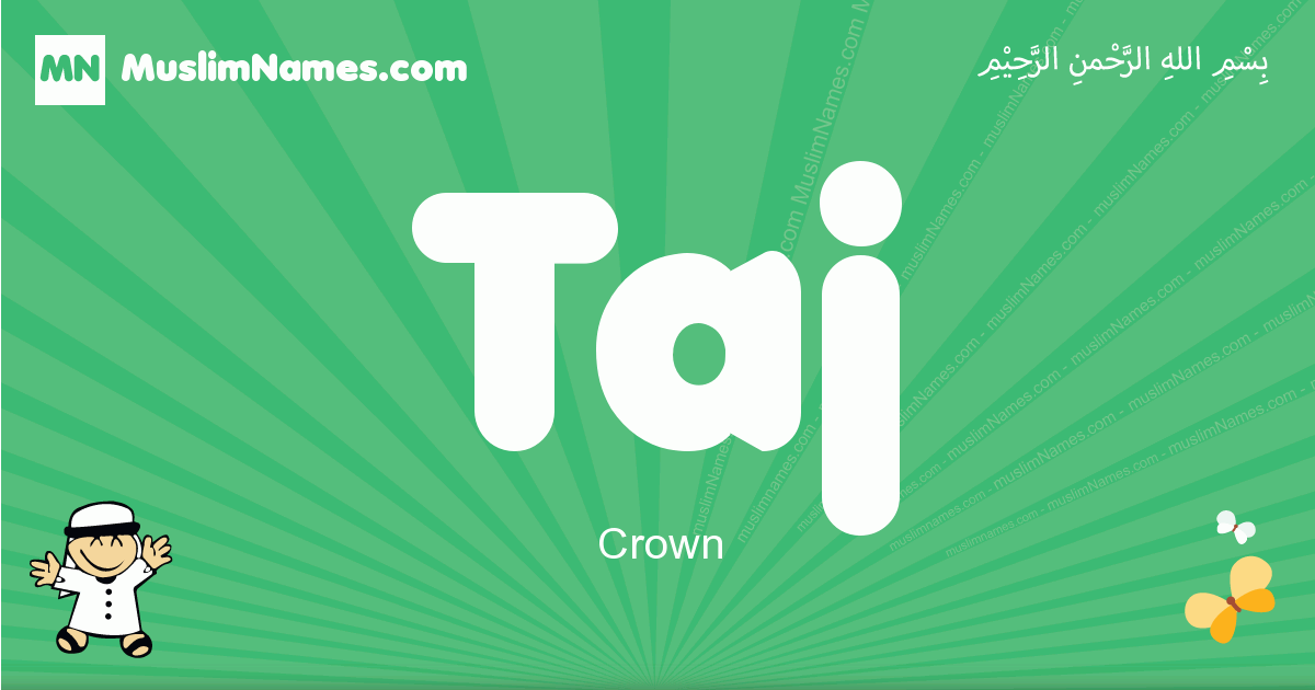 Taj Image