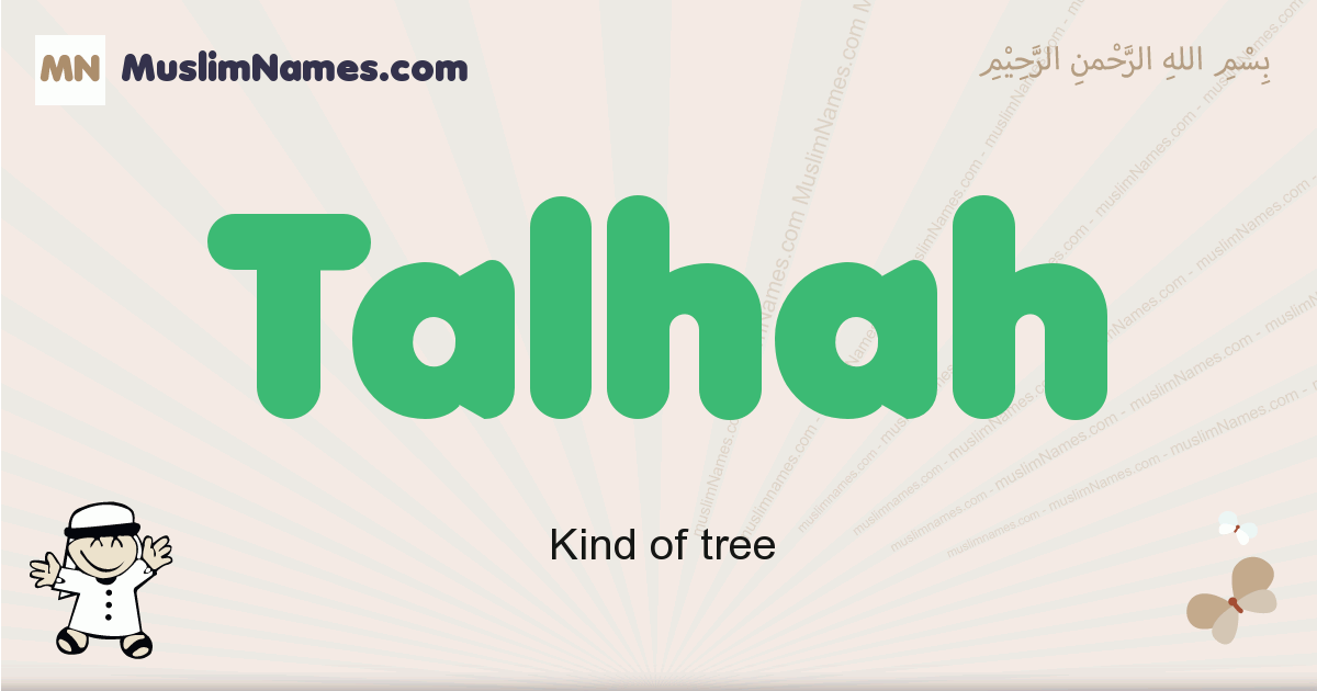 Talhah Image