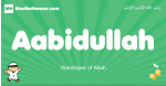Aabidullah arabic boys name and meaning, quranic boys name Aabidullah