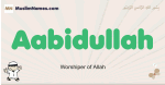 Aabidullah muslim boys name and meaning, islamic boys name Aabidullah