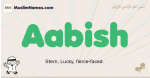 Aabish muslim boys name and meaning, islamic boys name Aabish