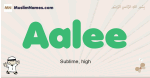 Aalee muslim boys name and meaning, islamic boys name Aalee