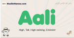 Aali muslim boys name and meaning, islamic boys name Aali