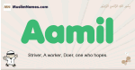 Aamil muslim boys name and meaning, islamic boys name Aamil