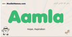 Aamla muslim boys name and meaning, islamic boys name Aamla