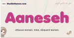Aaneseh muslim girls name and meaning, islamic girls name Aaneseh