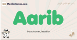 Aarib muslim boys name and meaning, islamic boys name Aarib
