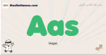 Aas muslim boys name and meaning, islamic boys name Aas