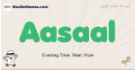 Aasaal muslim boys name and meaning, islamic boys name Aasaal
