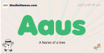 Aaus muslim boys name and meaning, islamic boys name Aaus