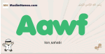 Aawf muslim boys name and meaning, islamic boys name Aawf