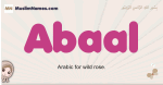 Abaal muslim girls name and meaning, islamic girls name Abaal