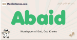 Abaid muslim boys name and meaning, islamic boys name Abaid