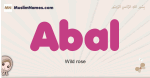 Abal muslim girls name and meaning, islamic girls name Abal