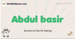 Abdul-basir muslim boys name and meaning, islamic boys name Abdul-basir