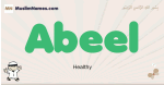Abeel muslim boys name and meaning, islamic boys name Abeel