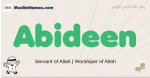 Abideen muslim boys name and meaning, islamic boys name Abideen