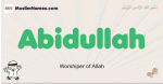 Abidullah muslim boys name and meaning, islamic boys name Abidullah