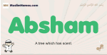Absham muslim boys name and meaning, islamic boys name Absham