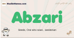 Abzari muslim boys name and meaning, islamic boys name Abzari
