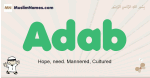 Adab muslim boys name and meaning, islamic boys name Adab